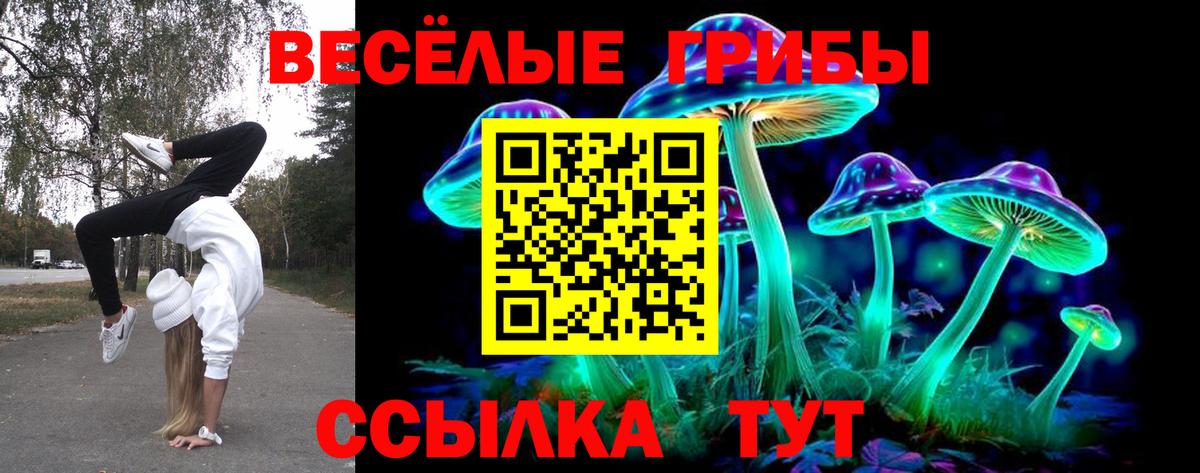 Галлюциногенные грибы прущие грибы Самара