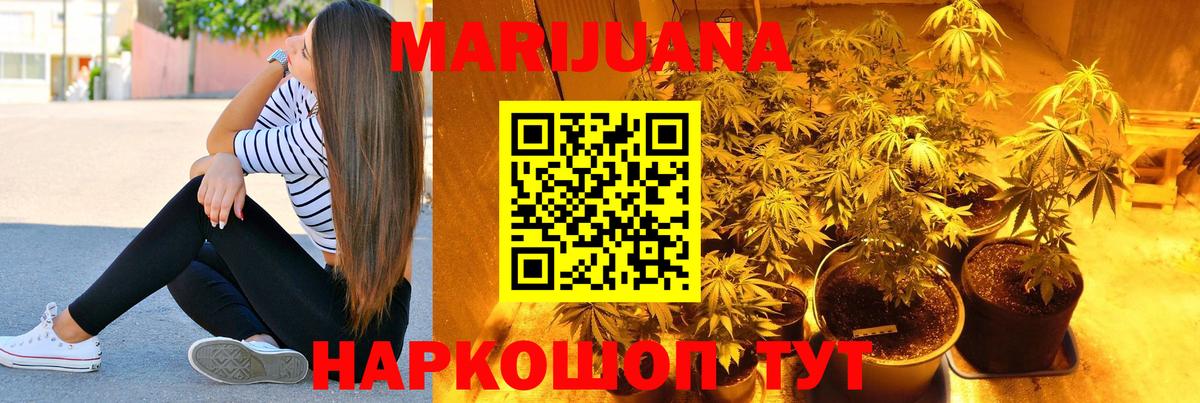 Канабис сатива Самара